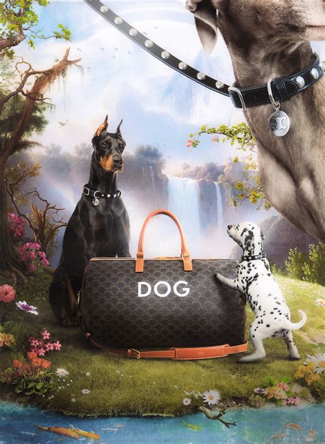 What V Want: Celine Dog Collection 